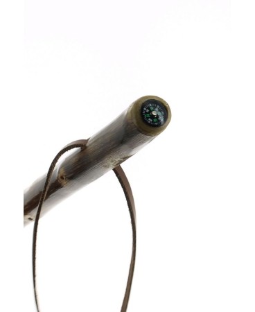 chestnut-shaft-with-compass-and-pick (2)
